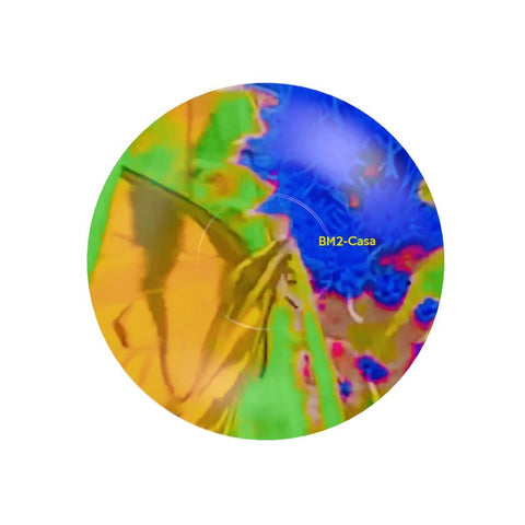 BM2 Casa: Mystere Demitasse Set