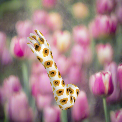 ‘Dua Tulipa' Amarillo Long Gloves
