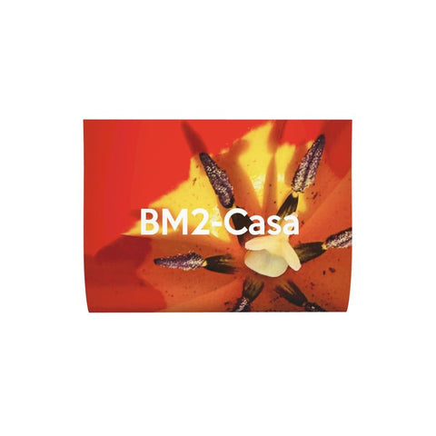 BM2-Casa 'Dua Tulipa Snapshots’ Cushion