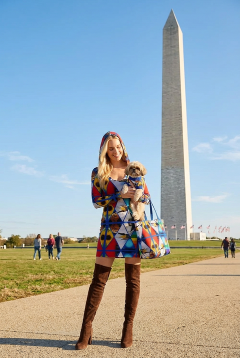 ‘American Dreams’ Hoodie Dress