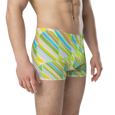 Clover Striper Boxer Briefs