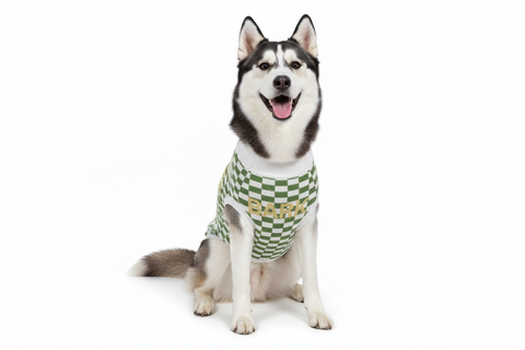 'Celtic Collegiate' Knitted Pet Sweater