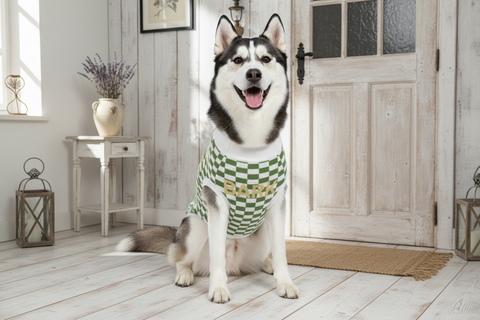 'Celtic Collegiate' Knitted Pet Sweater