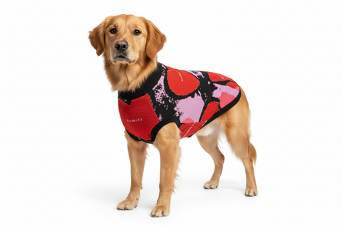 'Hearts and Balloons' Knitted Pet Sweater